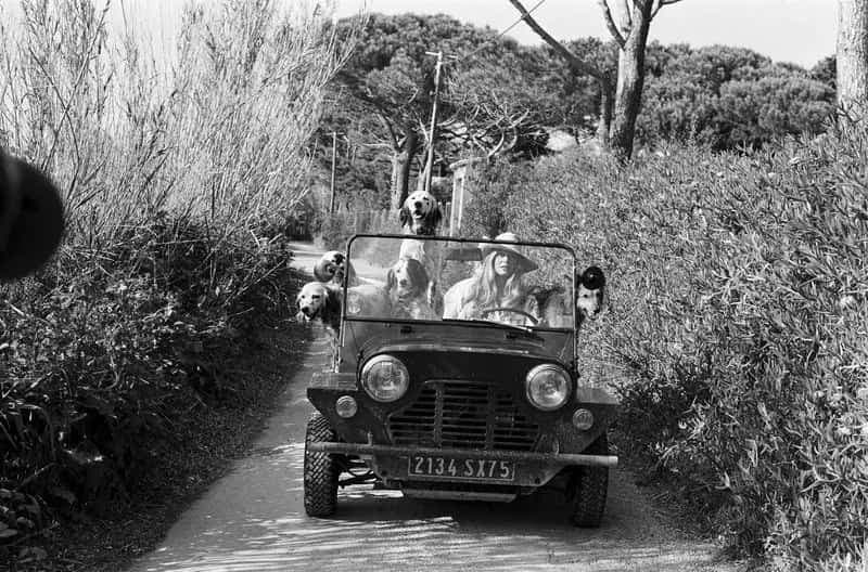 Moke electric technology